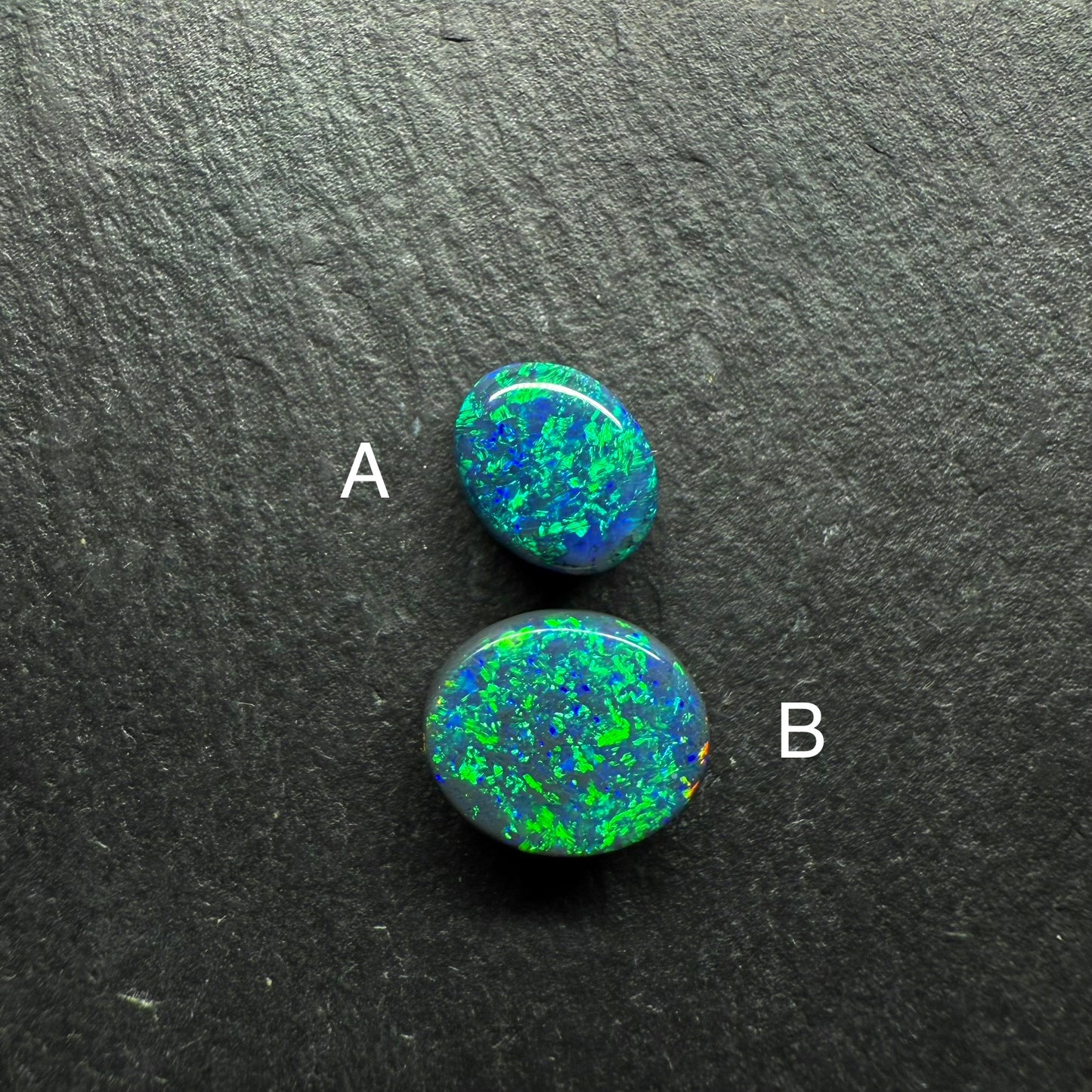 Gem Black Opals With Brilliant Green Color Palettes Hits Of Blue, full faced Color And Floral Pattern