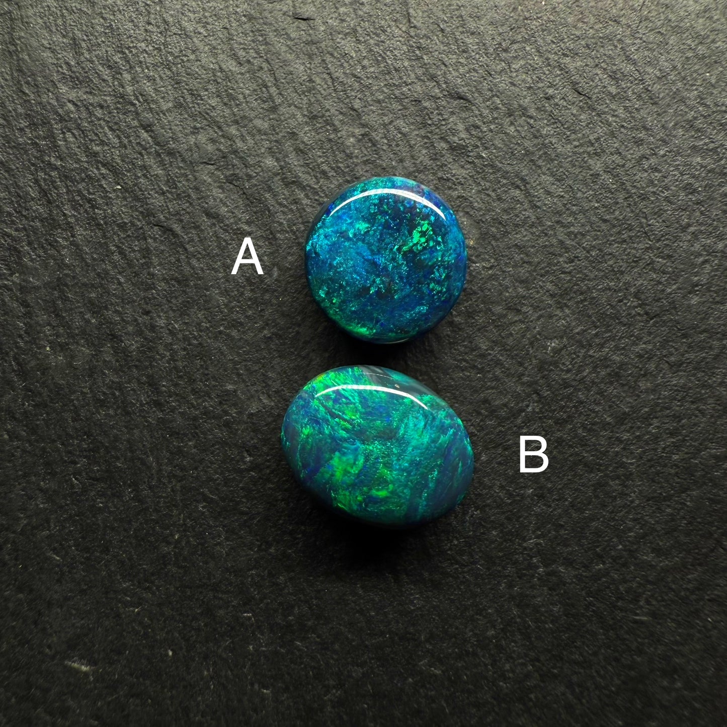 Gem Black Opals With Brilliant Green Color Palettes Hits Of Blue, full faced Color And mossy Pattern