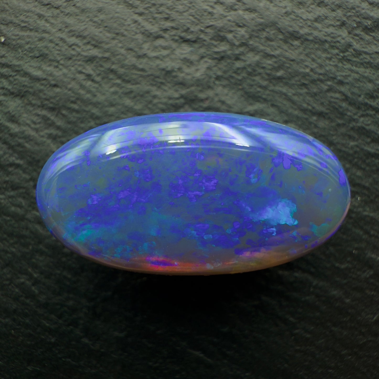 24.6ct Massive Top Gem Black Crystal Opal With Brilliant Color on color And A High Dome