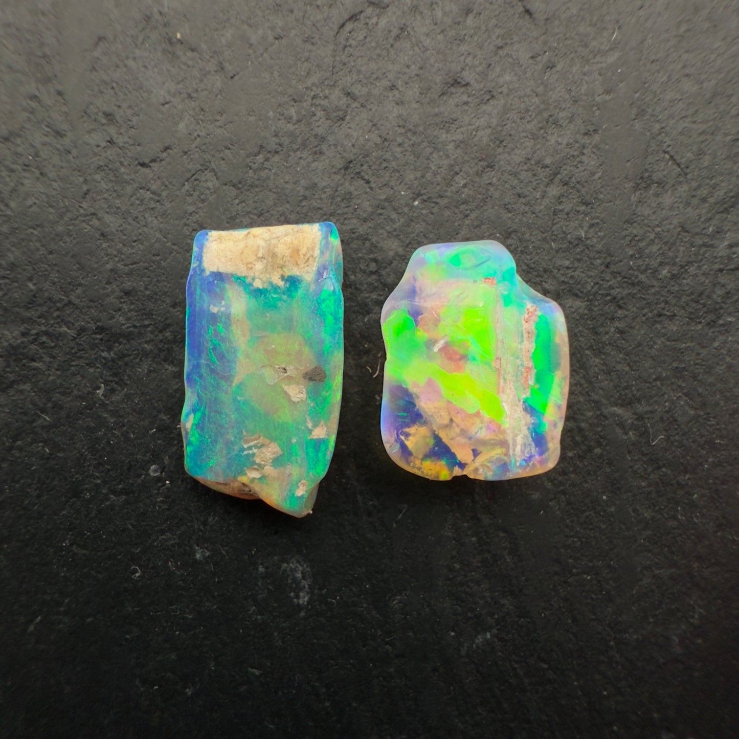 (Price Per Stone) top quality Opalized wood fossil Specimen
