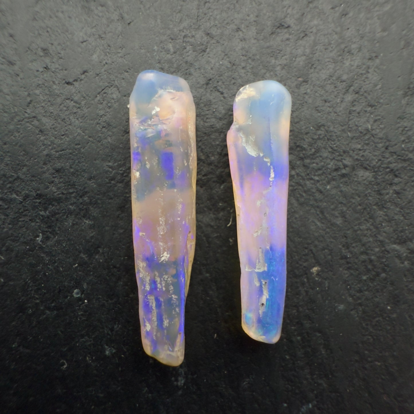 3.7ct Opalized wood fossil Specimen pair