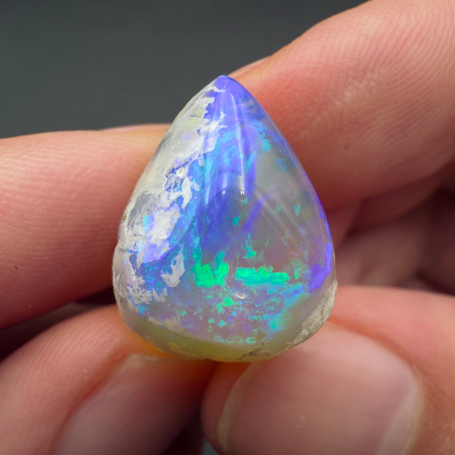 17.1ct Top quality Opalized Bivalve (Clam Fossil)