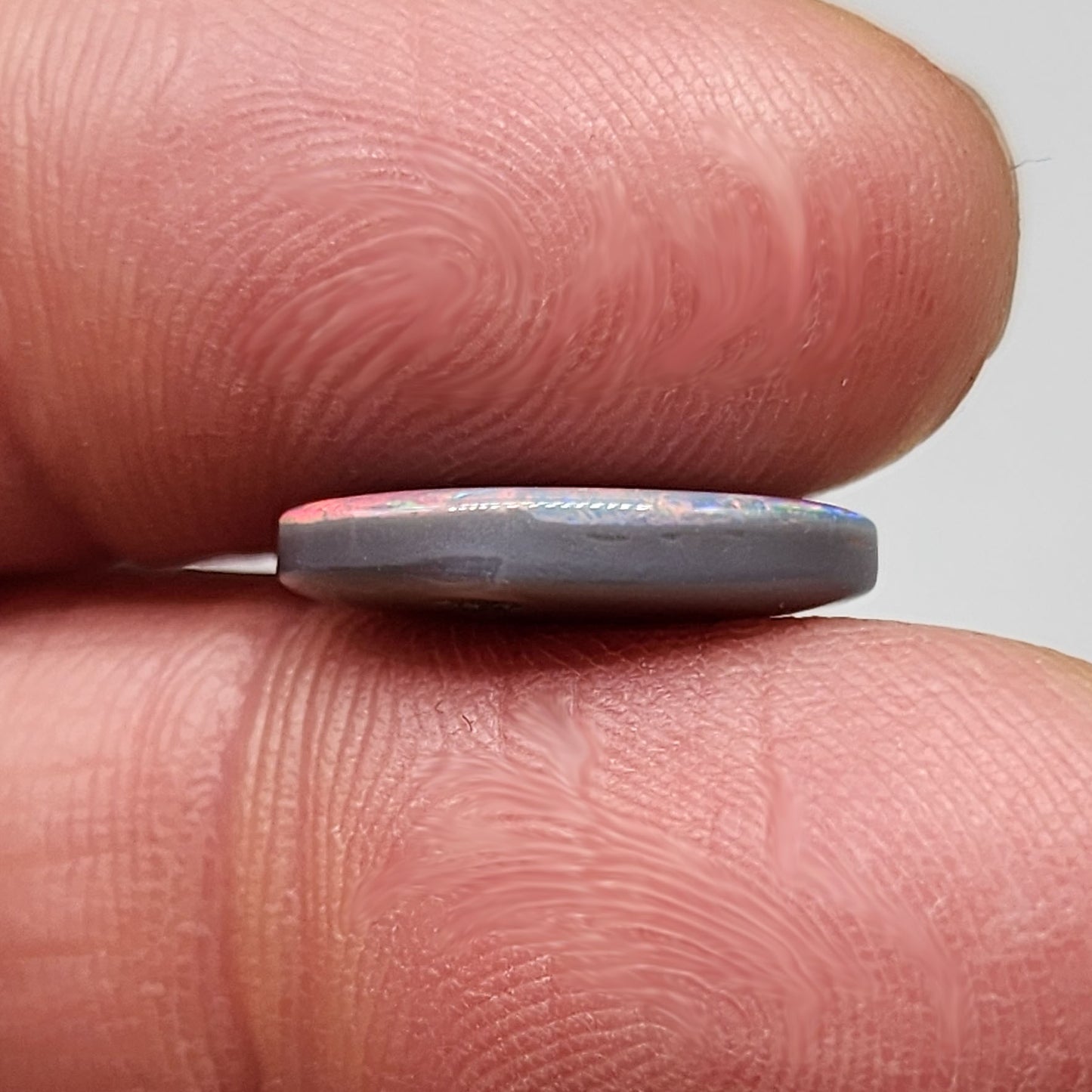 3.95cts Black Opal with a Red blue color palette and well distributed pattern