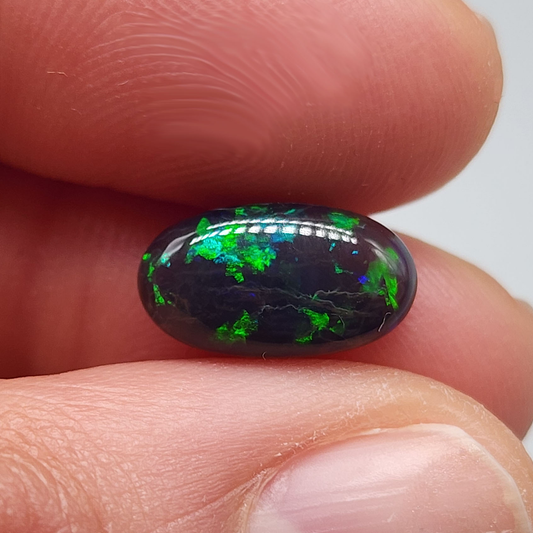 3.5cts black Opal with rare forest green pattern