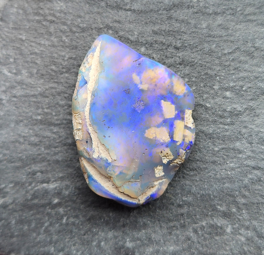 20.4ct fossilized Opal wood specimen, 110 million years old