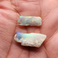 fossilized Opal wood specimens, 110 million years old