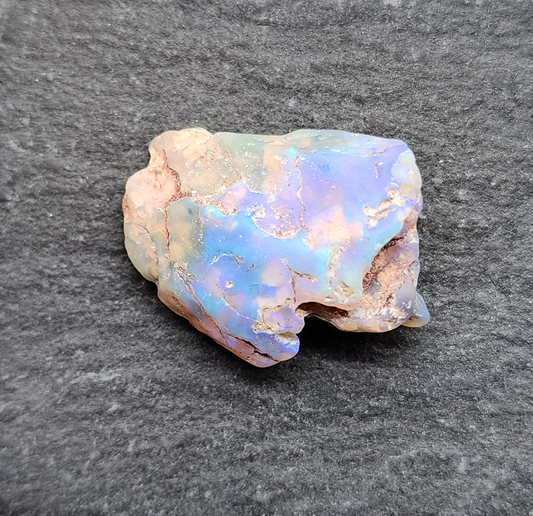 17.3ct fossilized Opal wood specimen, 110 million years old