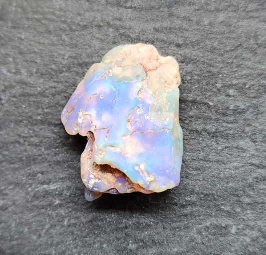 17.3ct fossilized Opal wood specimen, 110 million years old