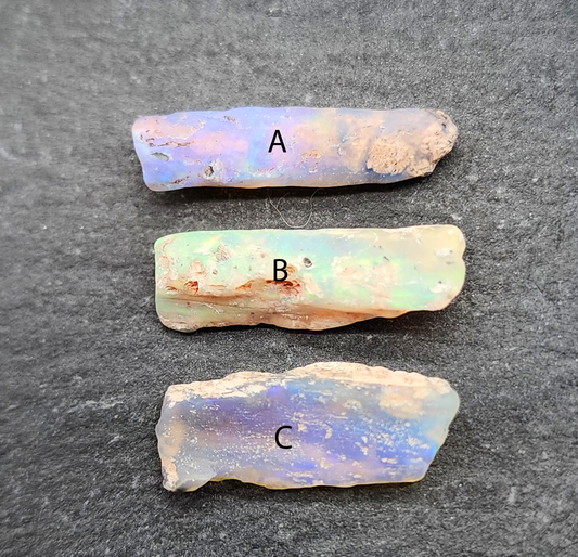 fossilized Opal wood specimens, 110 million years old