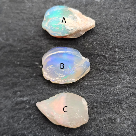 Opalized Bivalve fossil, 110 million years old