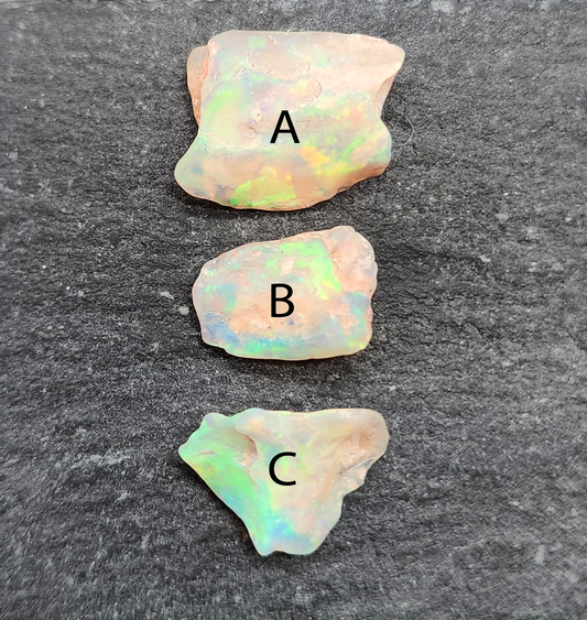 fossilized Opal wood specimens, 110 million years old