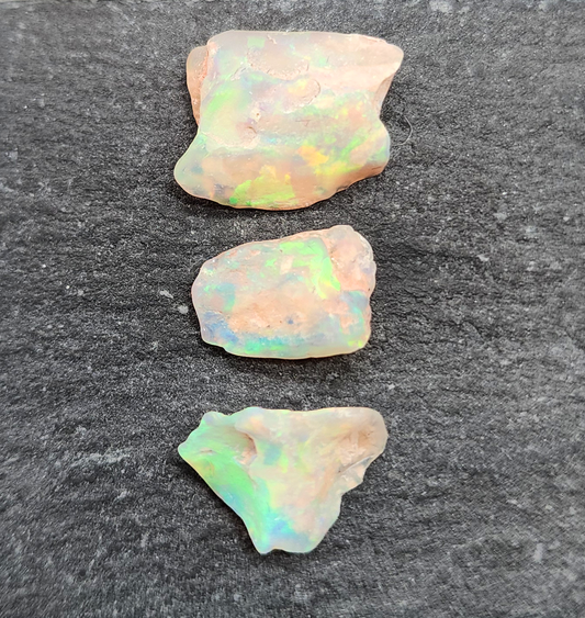 fossilized Opal wood specimens, 110 million years old