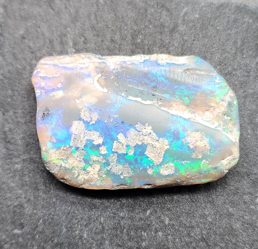 29.4ct fossilized Opal wood specimen, 110 million years old