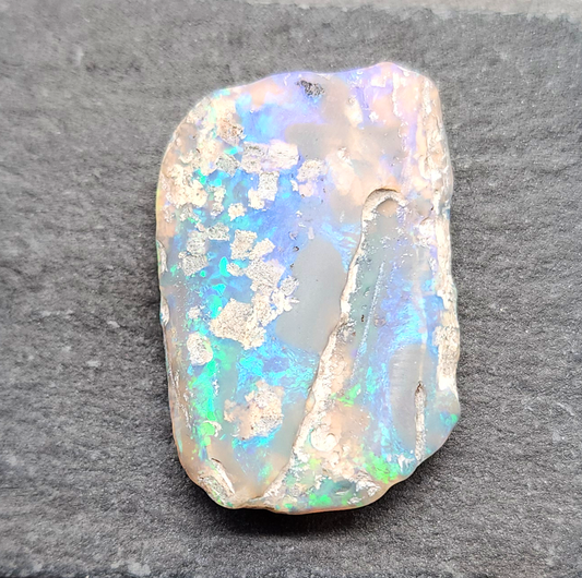 29.4ct fossilized Opal wood specimen, 110 million years old