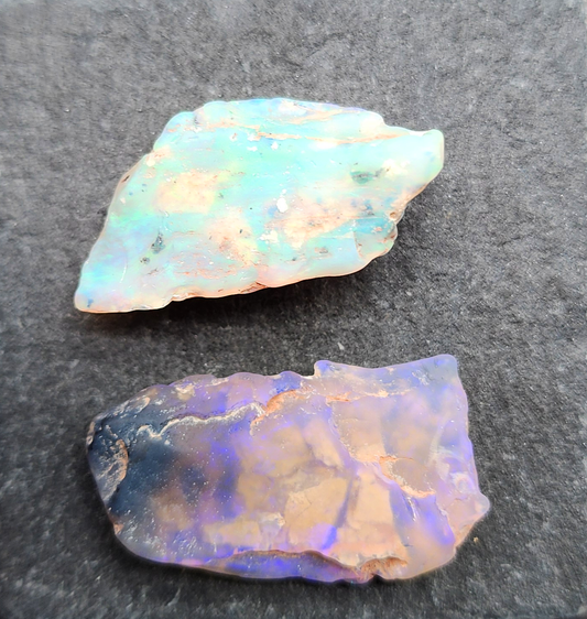 fossilized Opal wood specimens, 110 million years old