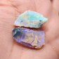 fossilized Opal wood specimens, 110 million years old