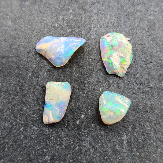 BUNDLE-fossilized Opal wood specimens, 110 million years old