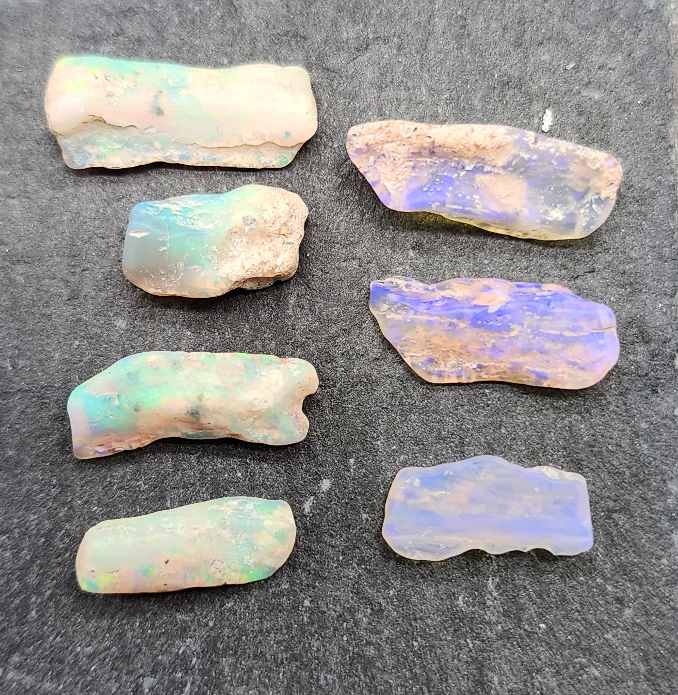 fossilized Opal wood specimens, 110 million years old