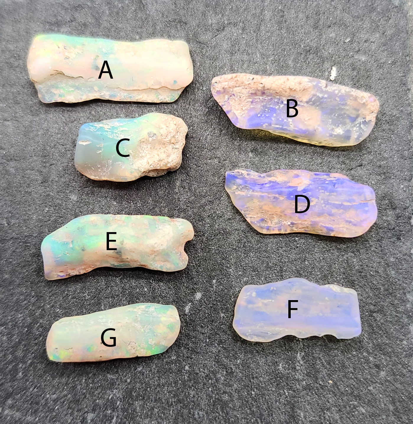 fossilized Opal wood specimens, 110 million years old