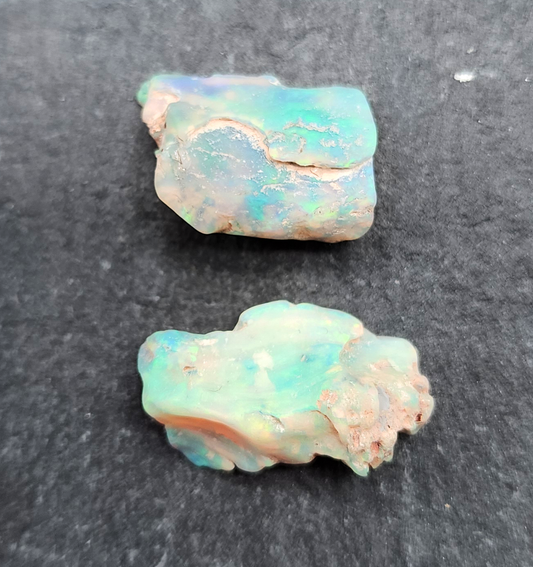 fossilized Opal wood specimens, 110 million years old