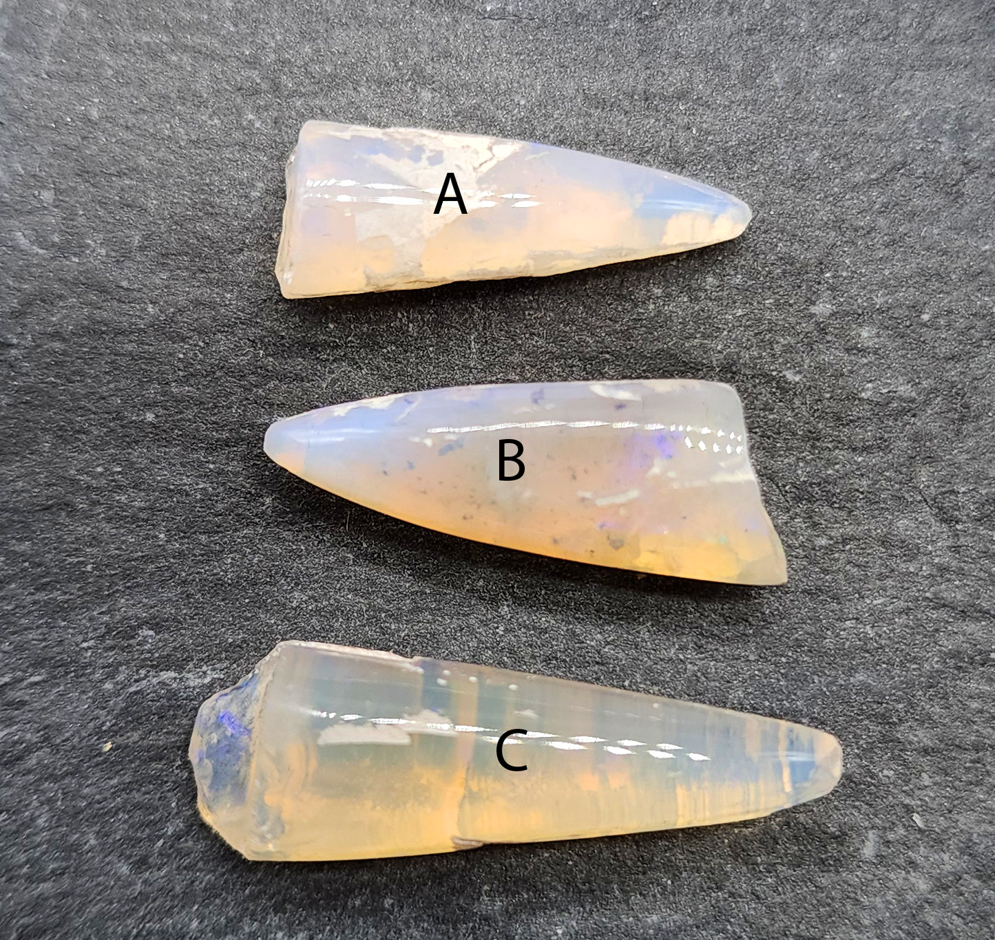 Opal belemnite fossil specimen 110 million years old