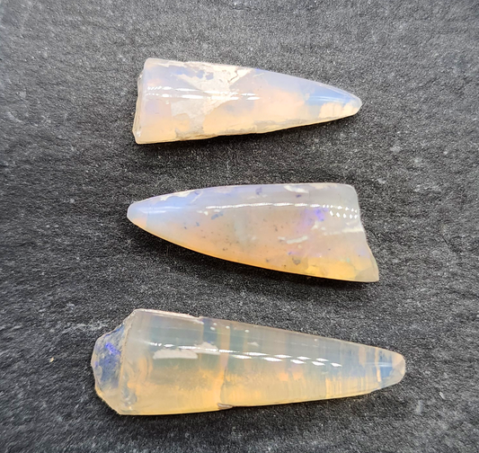 Opal belemnite fossil specimen 110 million years old