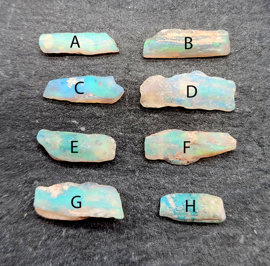 fossilized Opal wood specimens, 110 million years old