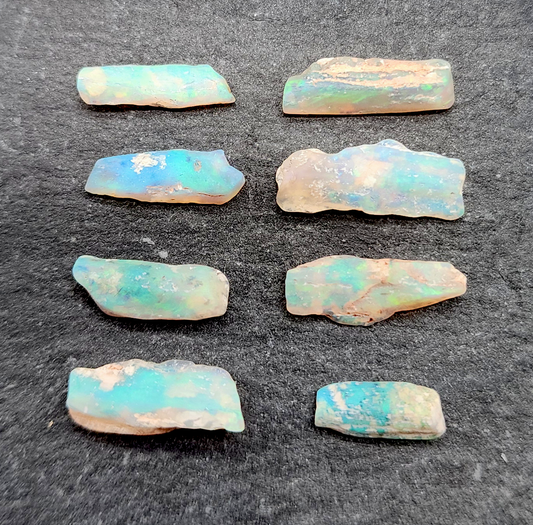 fossilized Opal wood specimens, 110 million years old