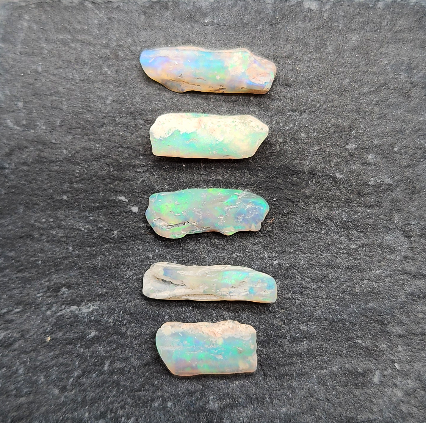 fossilized Opal wood specimens, 110 million years old