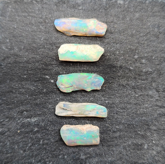 fossilized Opal wood specimens, 110 million years old