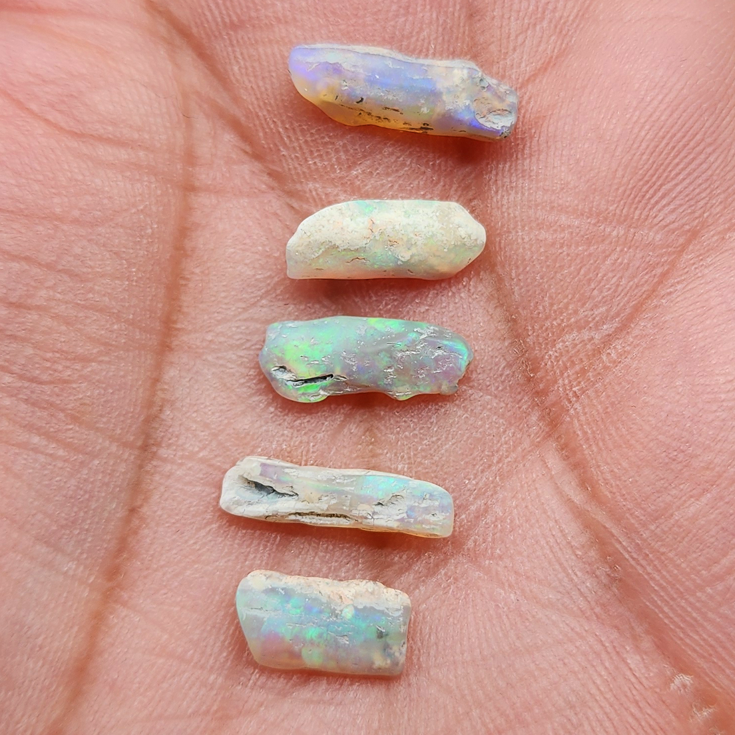 fossilized Opal wood specimens, 110 million years old