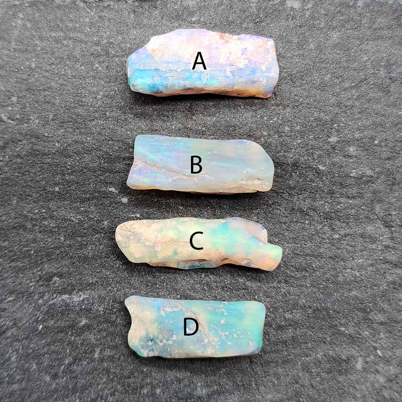 fossilized Opal wood specimens, 110 million years old