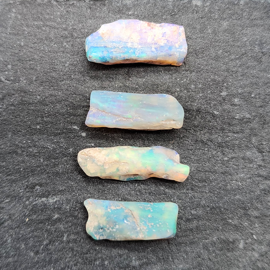 fossilized Opal wood specimens, 110 million years old