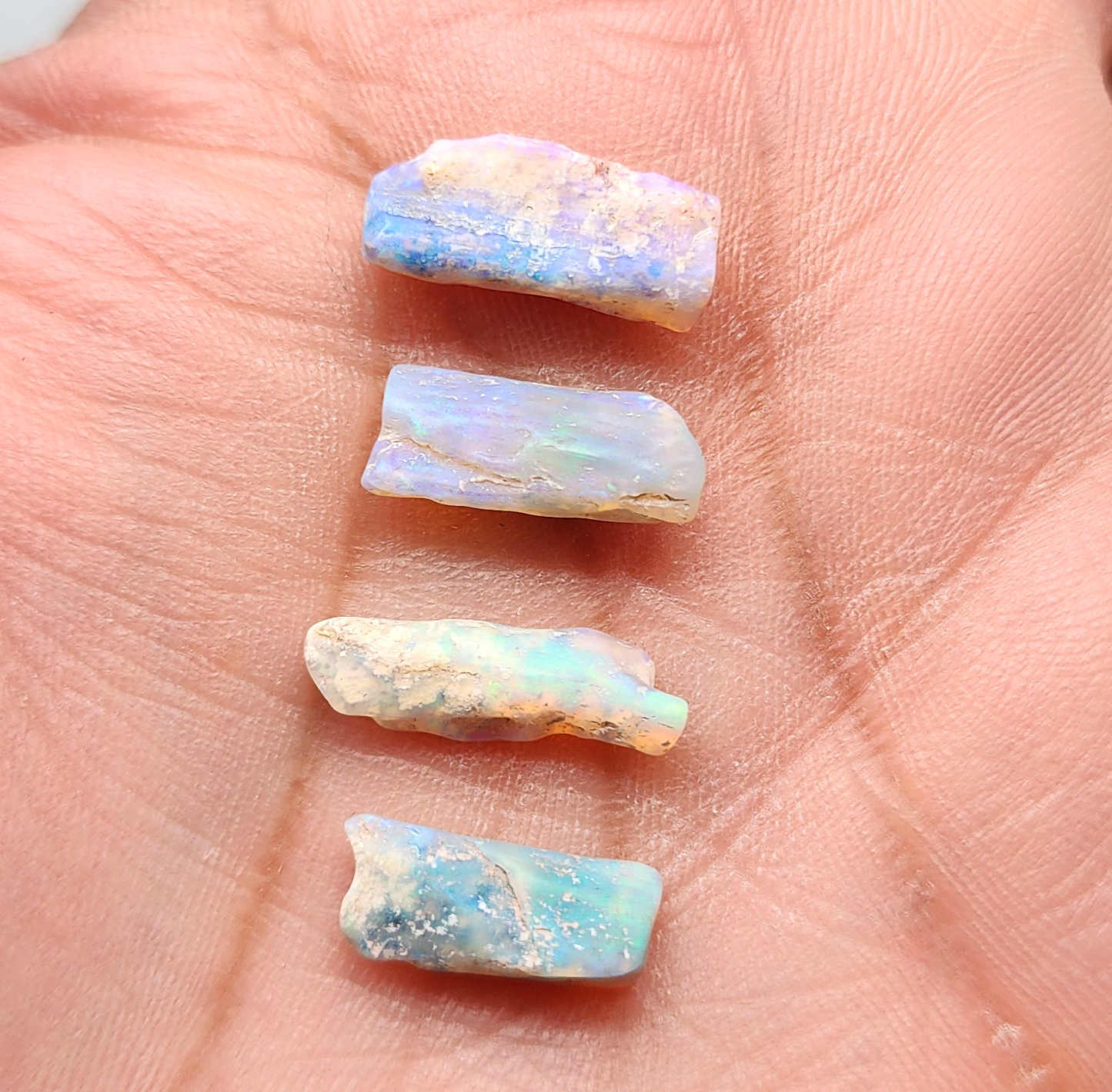 fossilized Opal wood specimens, 110 million years old