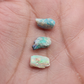 fossilized Opal wood specimens, 110 million years old