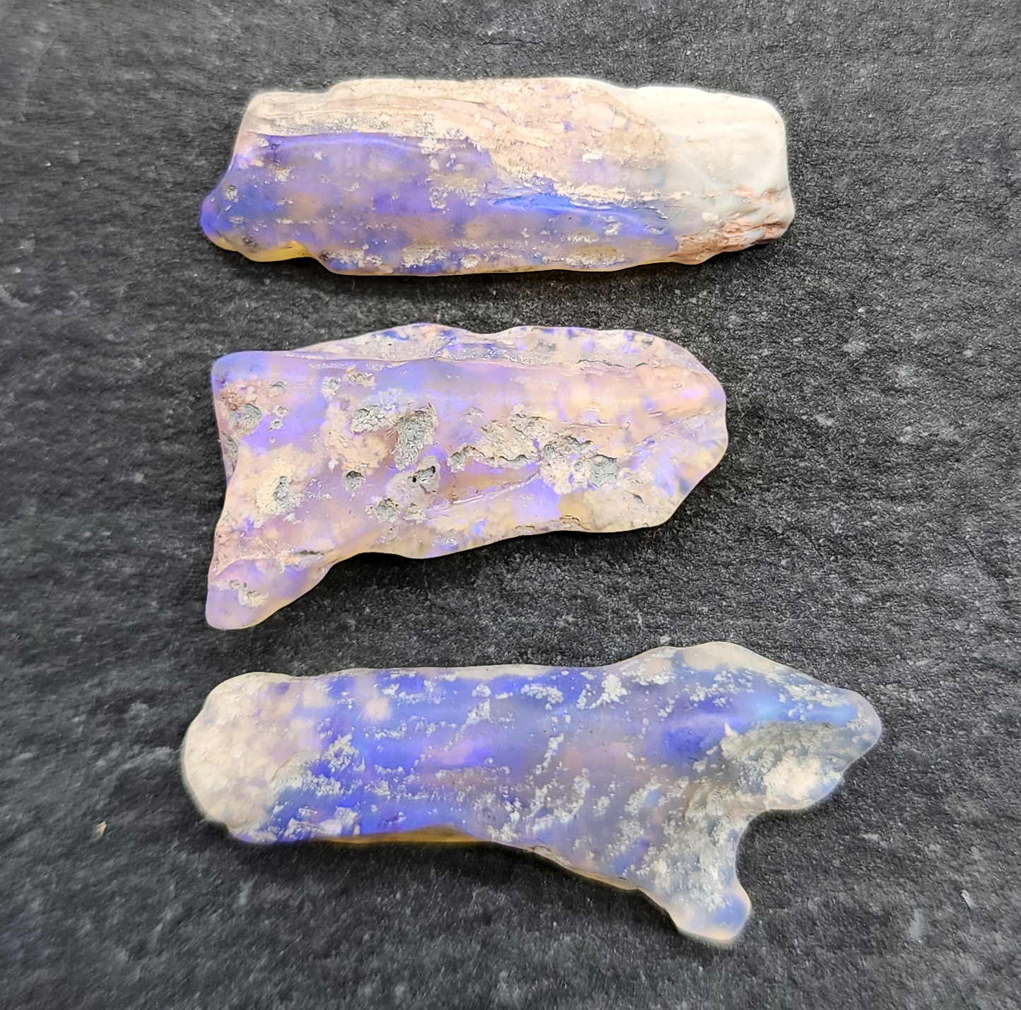 fossilized Opal wood specimens, 110 million years old