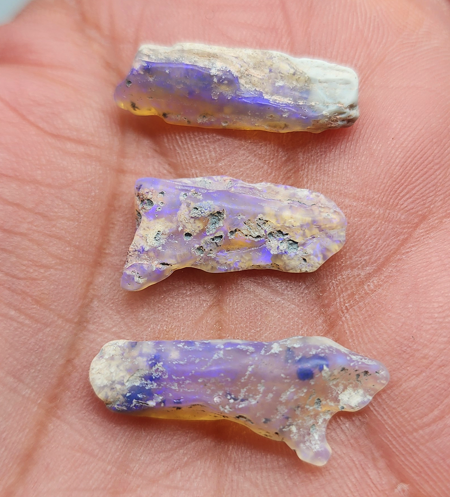 fossilized Opal wood specimens, 110 million years old