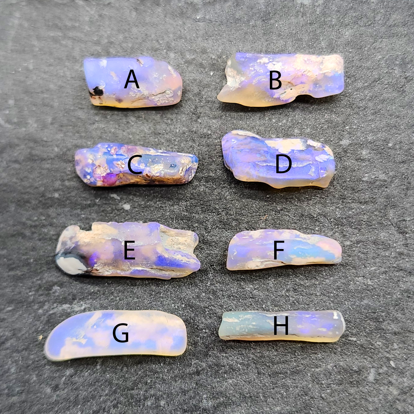 fossilized Opal wood specimens, 110 million years old