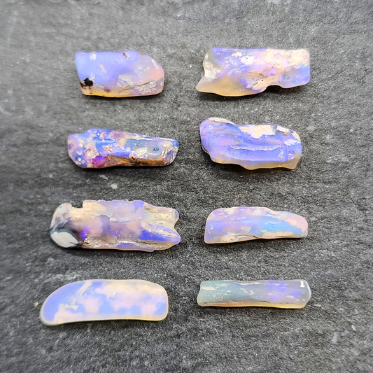 fossilized Opal wood specimens, 110 million years old