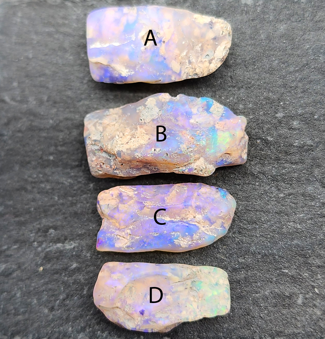 fossilized Opal wood specimens, 110 million years old