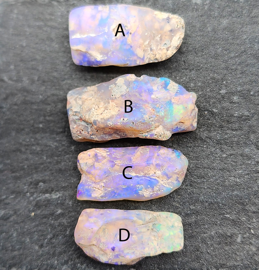 fossilized Opal wood specimens, 110 million years old