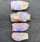 fossilized Opal wood specimens, 110 million years old