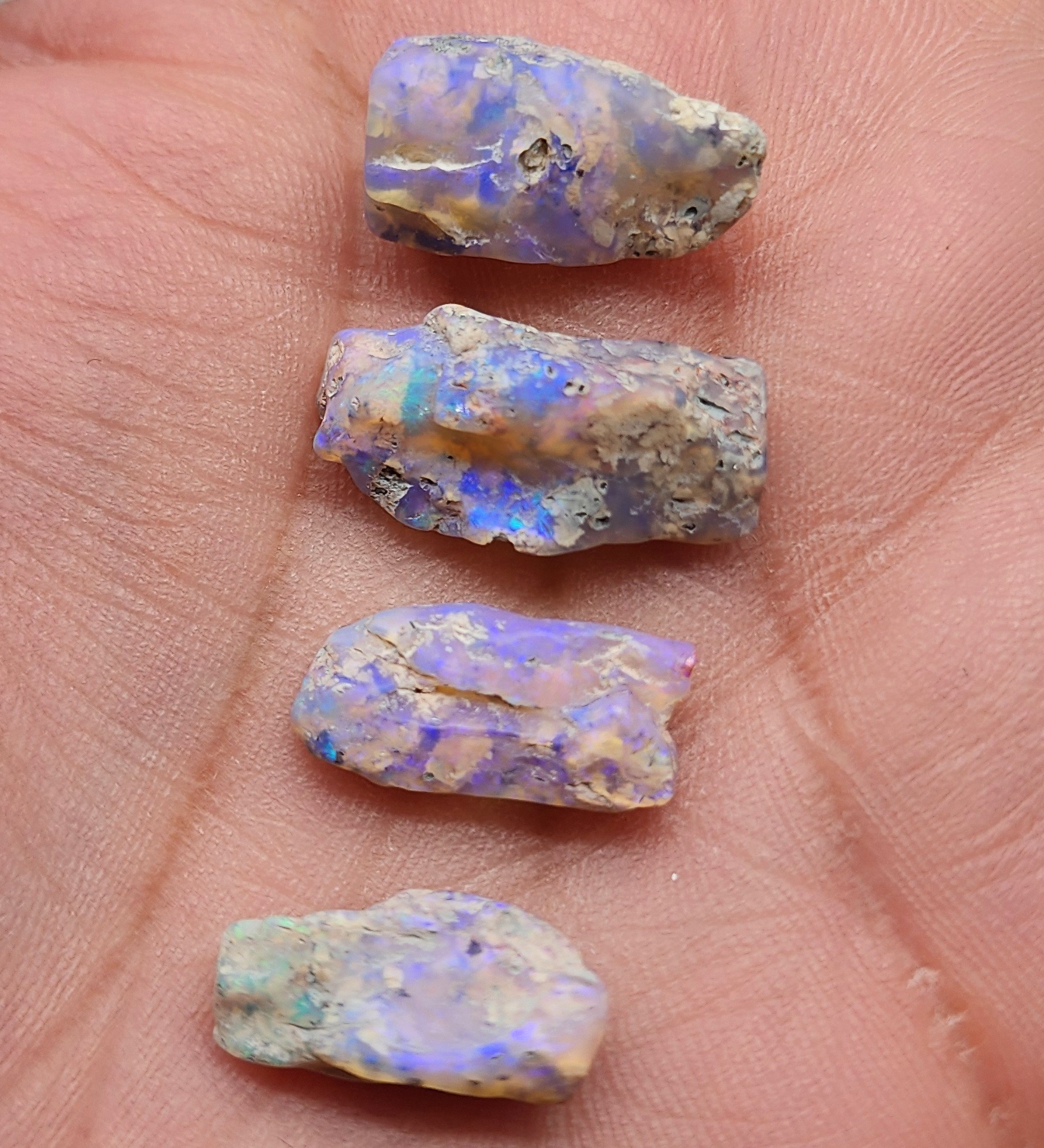 fossilized Opal wood specimens, 110 million years old