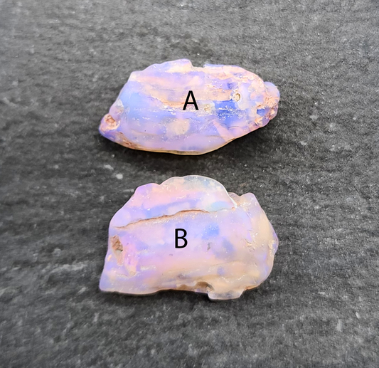 fossilized Opal wood specimens, 110 million years old