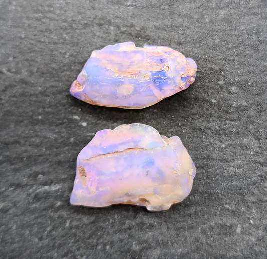 fossilized Opal wood specimens, 110 million years old