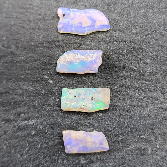 fossilized Opal wood specimens, 110 million years old