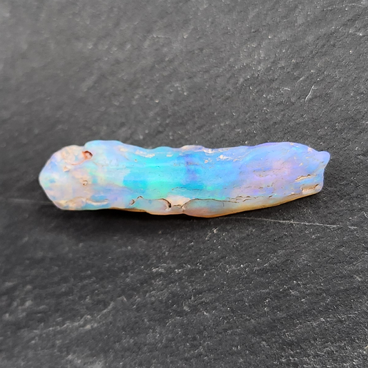 9.2cts world class fossilized Opal wood specimen, 110 million years old