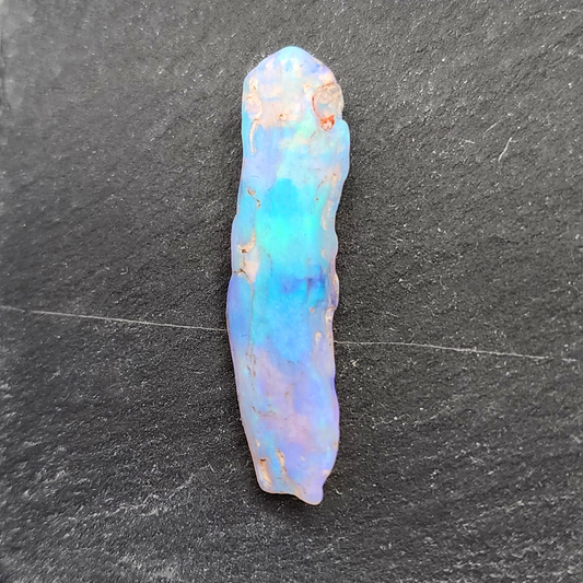 9.2cts world class fossilized Opal wood specimen, 110 million years old