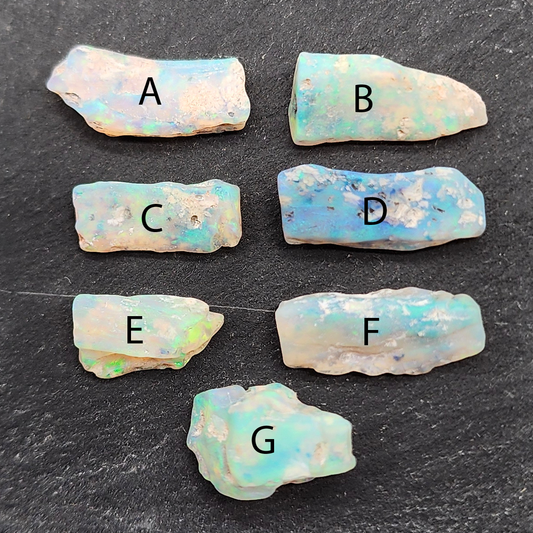 fossilized Opal wood specimens, 110 million years old