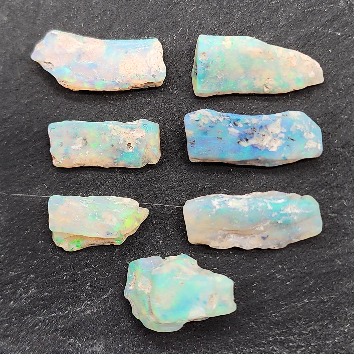 fossilized Opal wood specimens, 110 million years old